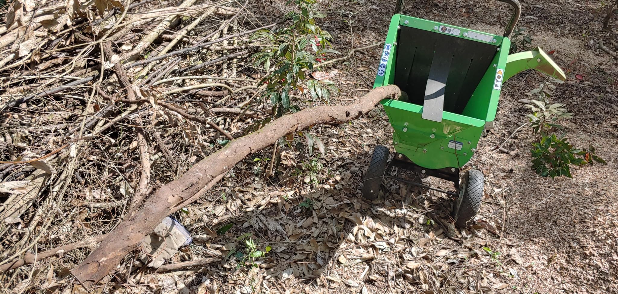 Long dead branch being fed into the hopper of a GardenBeaut chipper